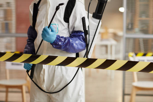 Professional Infectious Disease Decontamination technician working in Hye, TX